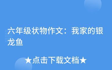 7000萬的紅龍魚：中國最貴的“紫艷血紅龍”，被日本富商60萬美元購買