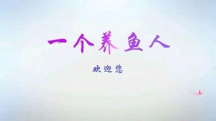 龍魚的作文怎么寫300字：龍魚的作文怎么寫300字，