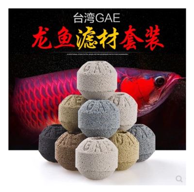 養(yǎng)龍魚用什么濾材 龍魚百科 第3張