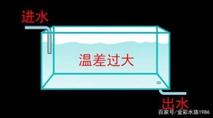 龍魚(yú)鱗片翹起基底充血：龍魚(yú)鱗片翹起基底充血可能是由多種因素引起的