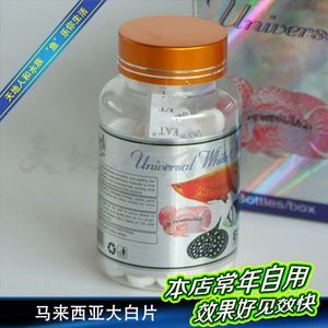 龍魚大白片使用方法和用量：關于龍魚大白片使用方法和用量的詳細介紹 龍魚百科 第3張