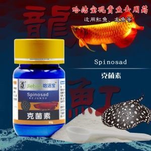 龍魚抗病毒藥物有哪些藥：關(guān)于龍魚抗病毒藥物的信息主要涉及到一些特定的藥品和治療方法