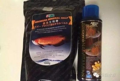 龍魚缺維生素怎么辦呢：發(fā)現(xiàn)龍魚缺乏維生素 龍魚百科