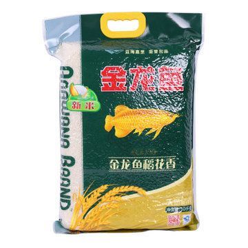 金龍魚吃什么食料好吃：金龍魚吃什么好吃 龍魚百科 第2張