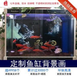 龍魚缸封缸：封缸是一種有效的治療龍魚掉眼的方法