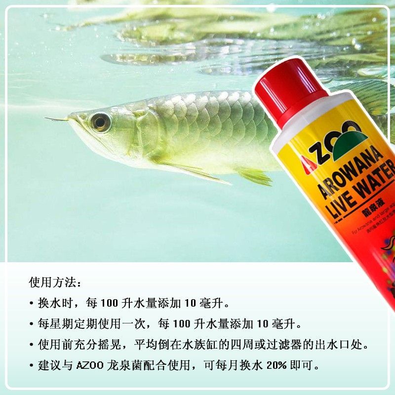 龍魚都有哪些品牌好用：選擇龍魚品牌和產(chǎn)品 龍魚百科