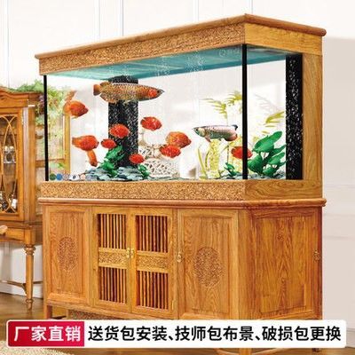 龍魚是啥魚：龍魚是一種什么樣的魚？ 龍魚百科