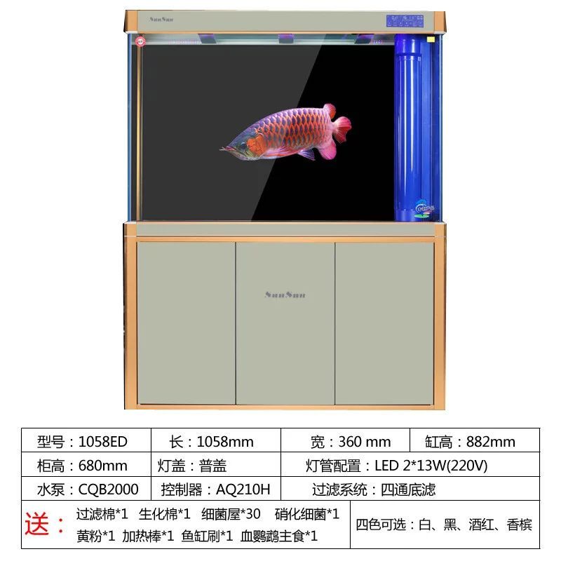 龍魚多大尺寸使用側(cè)燈：龍魚側(cè)燈的使用時(shí)機(jī)