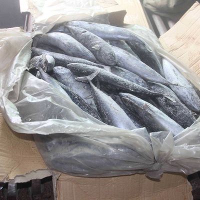 可以把飼料魚都放入龍魚缸么嗎：關(guān)于龍魚喂養(yǎng)的問題