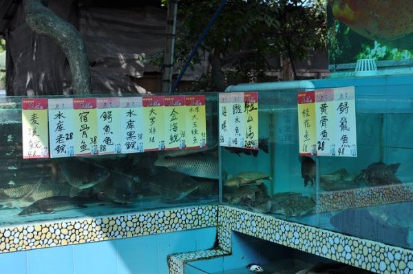 金龍魚外國(guó)控股：益海嘉里金龍魚糧油食品股份有限公司金龍魚國(guó)際影響力 龍魚百科 第3張