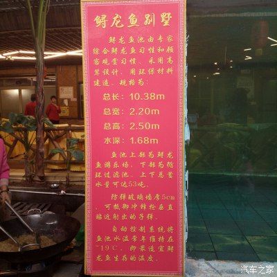 河源龍魚專賣店：河源市龍魚專賣店