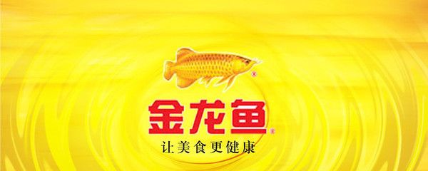 紅龍魚和金龍魚混養(yǎng)好不好呀：紅龍魚和金龍魚和金龍魚混養(yǎng)注意事項(xiàng)