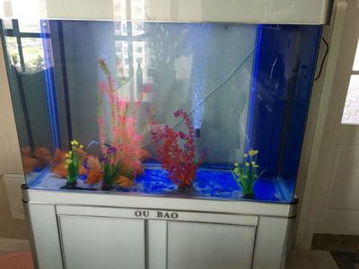 龍魚缸十大品牌排行榜：水族箱十大品牌排行榜