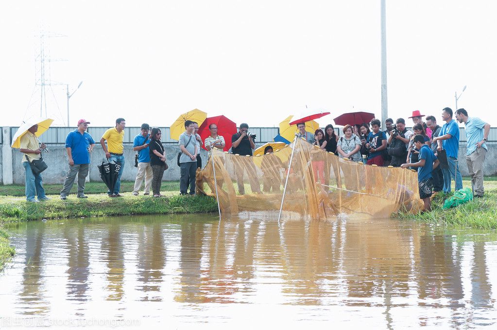 金龍魚張嘴是什么原因引起的視頻：金龍魚在水面上張嘴呼吸是怎么回事金龍魚吧】百度貼吧