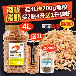 金龍魚喂南極磷蝦：金龍魚可以喂南極磷蝦嗎， 龍魚百科 第3張