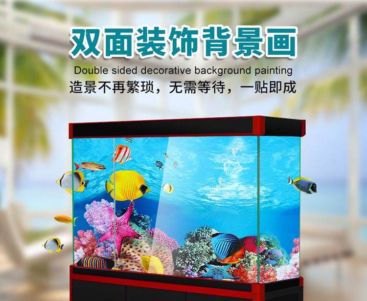 金龍魚魚缸背景圖高清：金龍魚魚缸背景圖