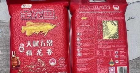 金龍魚買大還是買小的比較好：益海嘉里金龍魚大小對比金龍魚金龍魚金龍魚大小對比 龍魚百科 第2張