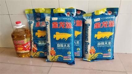 金龍魚買大還是買小的比較好：益海嘉里金龍魚大小對(duì)比金龍魚金龍魚金龍魚大小對(duì)比