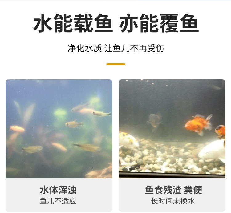 龍魚缸水質(zhì)要求高嗎：龍魚缸水質(zhì)對水質(zhì)的影響