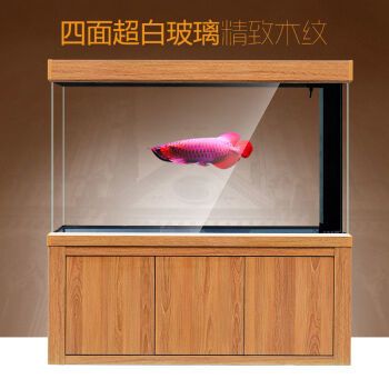 龍魚(yú)缸品牌推薦一下：水族器材品牌選擇