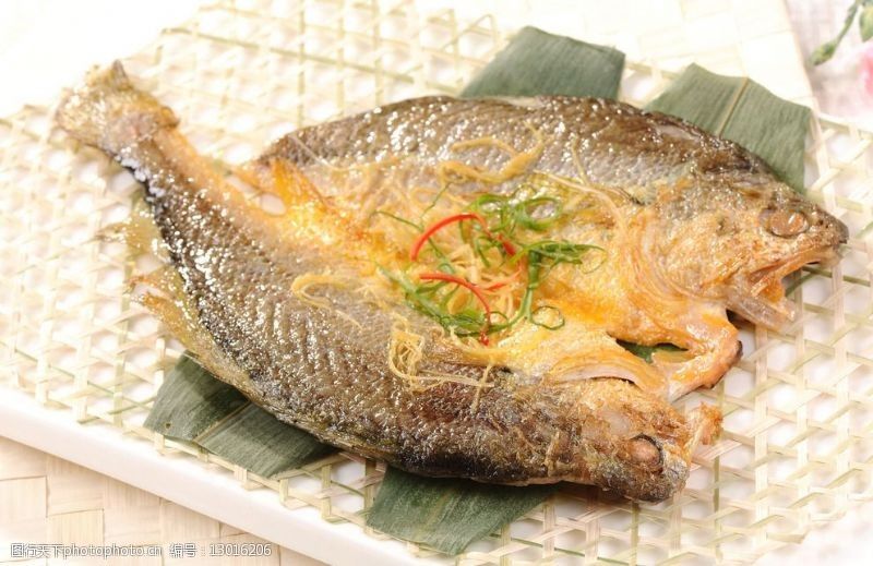 黃龍魚(yú)圖：30篇黃龍魚(yú)高清圖片欣賞及其分類(lèi)介紹