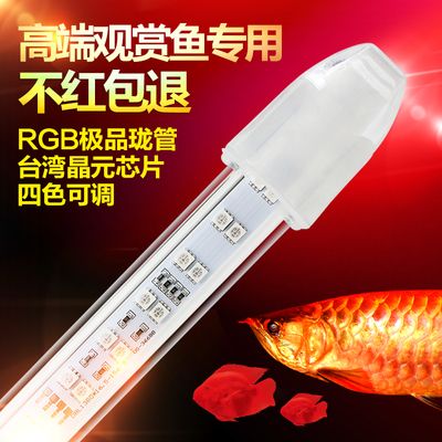 金龍魚專用燈哪個(gè)牌子好點(diǎn)：金龍魚專用燈品牌排名