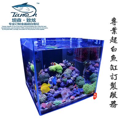 龍魚缸可以放幾株水草嗎：龍魚缸可以放幾株水草？ 龍魚百科 第3張