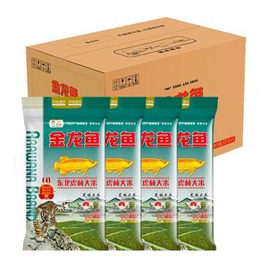 龍魚消炎藥：處理龍魚的口腔潰瘍和細(xì)菌感染時(shí)需要了解如何正確治療 龍魚百科 第3張