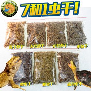 金龍魚的飼料怎么喂