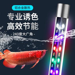 龍魚(yú)燈放在什么位置好：龍魚(yú)燈的擺放位置