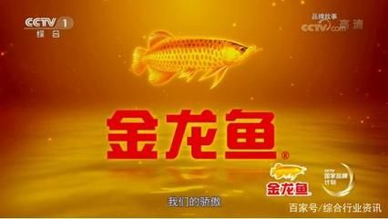 金龍魚什么企業(yè) 龍魚百科 第2張