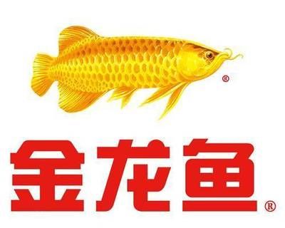 金龍魚什么企業(yè) 龍魚百科 第3張