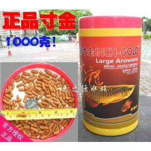 龍魚飼料魚消毒多久：龍魚飼料魚的消毒時(shí)間 龍魚百科 第2張