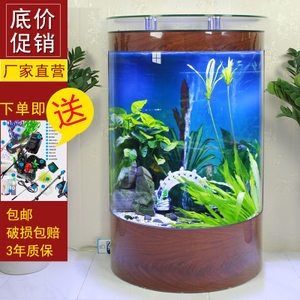 金龍魚缸水變綠怎么辦啊：金龍魚缸水變綠了怎么辦