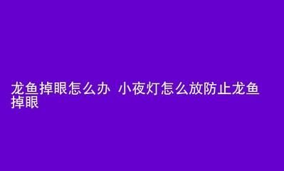 龍魚(yú)突然撞缸了怎么辦：如何預(yù)防龍魚(yú)撞缸