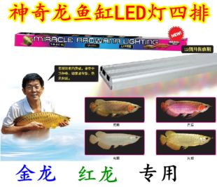 龍魚(yú)燈架好還是潛水燈好用：龍魚(yú)燈架、潛水燈哪個(gè)好