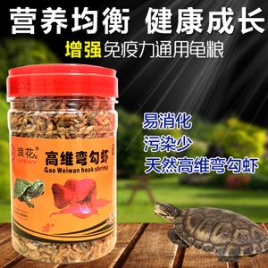 金龍魚飼料可以喂龜嗎？：烏龜可以吃魚飼料嗎