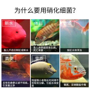 龍魚水質(zhì)檢測(cè)方法？：養(yǎng)龍魚時(shí)水質(zhì)檢測(cè)方法：ph值是衡量水質(zhì)酸堿度的一個(gè)重要指標(biāo) 龍魚百科 第2張