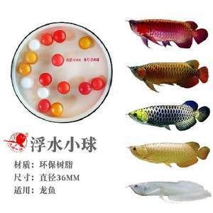 龍魚浮在水面不游動：龍魚不愛游動是怎么回事 龍魚百科 第1張