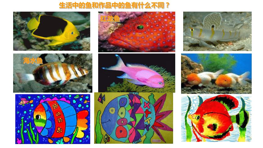 紅龍魚海水魚怎么養(yǎng)殖視頻：紅龍魚養(yǎng)殖方法 龍魚百科 第2張