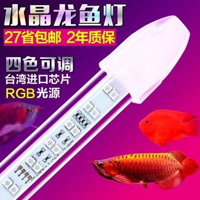 龍魚燈架好還是潛水燈好：龍魚燈架與潛水燈哪個好