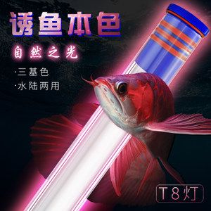 龍魚燈架好還是潛水燈好：龍魚燈架與潛水燈哪個好