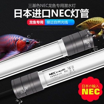 龍魚燈飛利浦好還是NEC好：飛利浦和nec哪個(gè)好