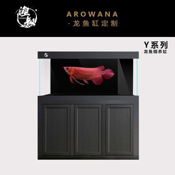 龍魚精養(yǎng)缸哪個(gè)品牌好：龍魚精養(yǎng)缸品牌推薦：nec品牌提供了專門用于龍魚的魚缸燈