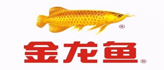 金龍魚紫羅蘭底好不好養(yǎng)