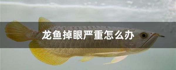 龍魚上浮不動怎么回事：龍魚上浮不動可能由多種原因引起龍魚不游動的原因和解決方法 龍魚百科 第3張