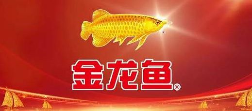 金龍魚宣傳視頻：金龍魚品牌宣傳視頻可能會(huì)展示品牌的發(fā)展歷程、產(chǎn)品優(yōu)勢(shì)