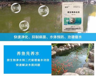 龍魚缸養(yǎng)水有必要加黑水嗎：關(guān)于龍魚缸養(yǎng)水黑水的問題