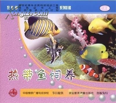 龍魚的養(yǎng)殖技術(shù)視頻：金龍魚養(yǎng)殖技術(shù)視頻教程