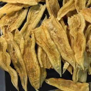 金龍魚膠產(chǎn)地：金龍魚膠產(chǎn)地在哪